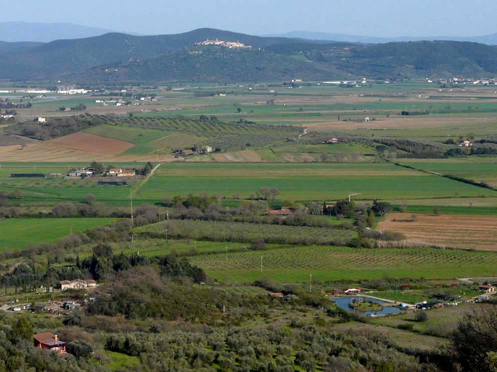 Lago artificiale da naturalizzare in piena Maremma!